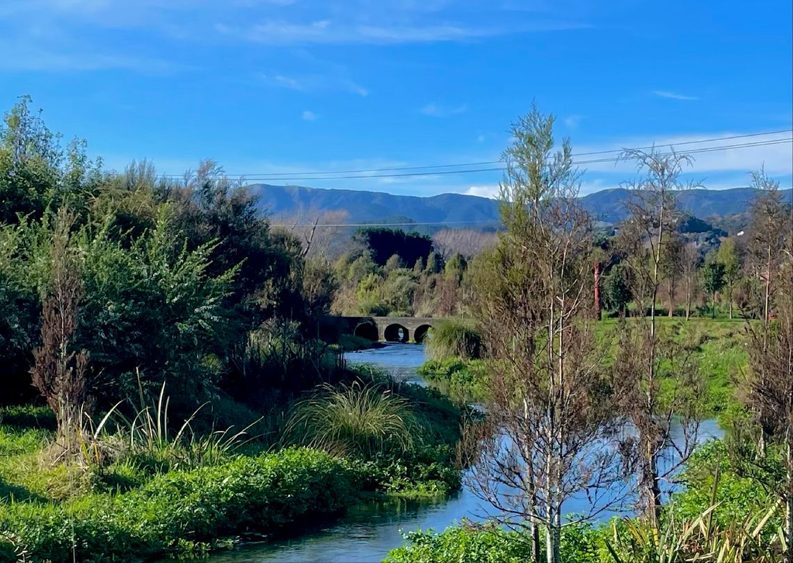 A river running through low-lying grassy vegetation. The landscape is dotted with small trees, and mountains can be seen in the distance.