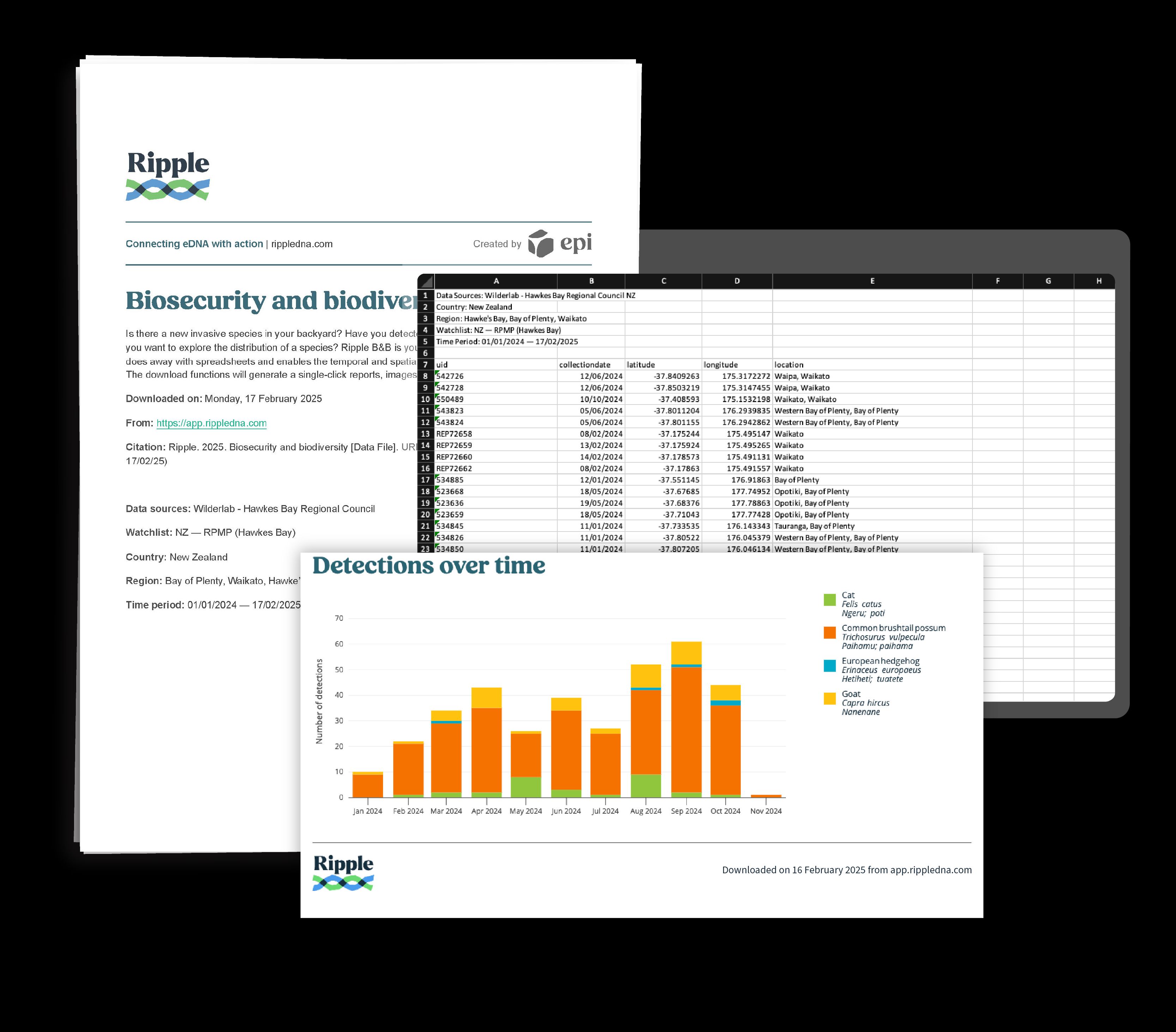 Screenshots of various downloadable data sources in Ripple, such as PDF reports, XLXS data files, and images of graphs.
